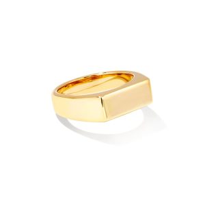 Hudson Signet Ring in 18k Gold Vermeil